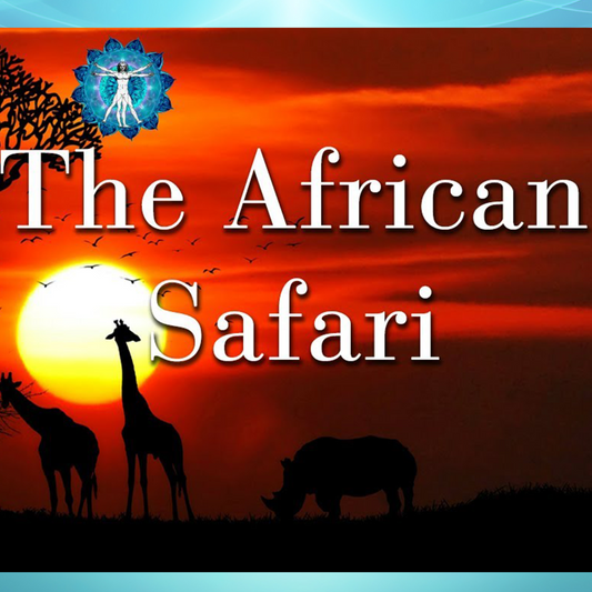 African Safari MP3
