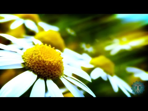 Emptiness Meditation Music: "Inner Quiet & Inner Peace" - Relax, Yoga, Zen, Mind Body, Balance