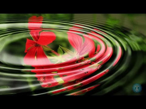 Sleep and Recovery Music: "Essential Healing During Deep Sleep" - Relaxation, Wellness, Health