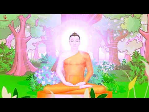 Journey to Self-Transcendence: Steps to Expand Your Consciousness