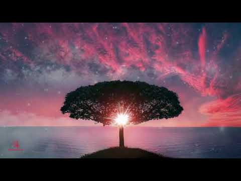 Quantum Manifestation , Destroy Negativity & Transcend The Mind