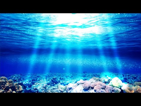 Theta Meditation Music: "Aqueous Light" - Overall Calmness and Clarity 4 Hz - 8 Hz