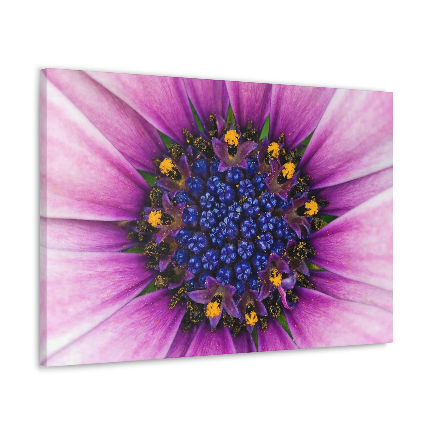 Flower Classic Canvas