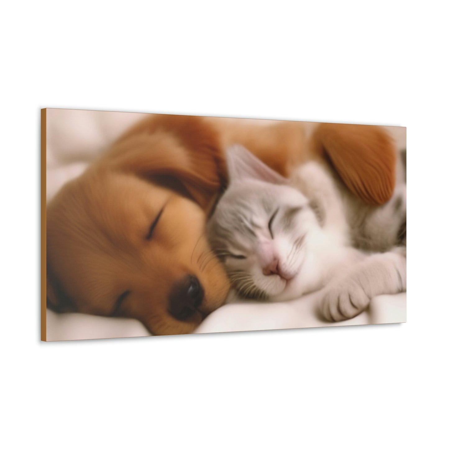 Pet Slumber Classic Canvas