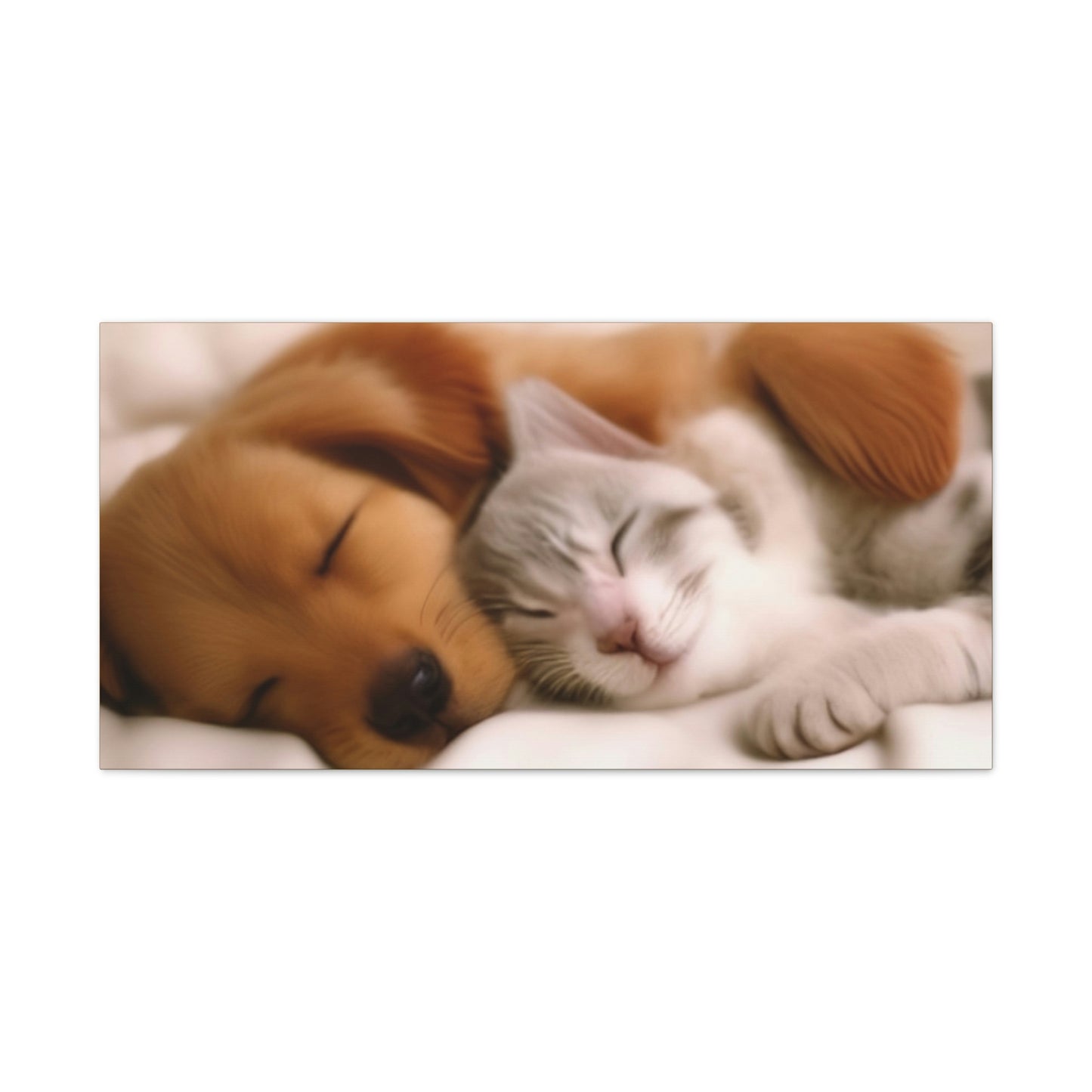 Pet Slumber Classic Canvas