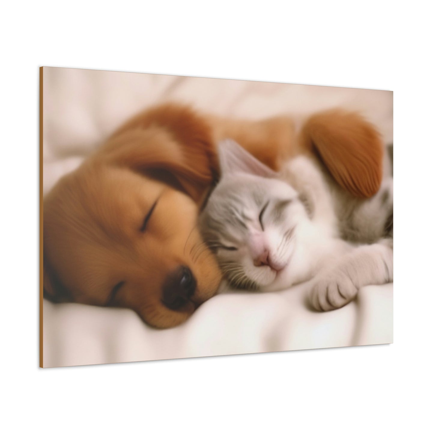 Pet Slumber Classic Canvas