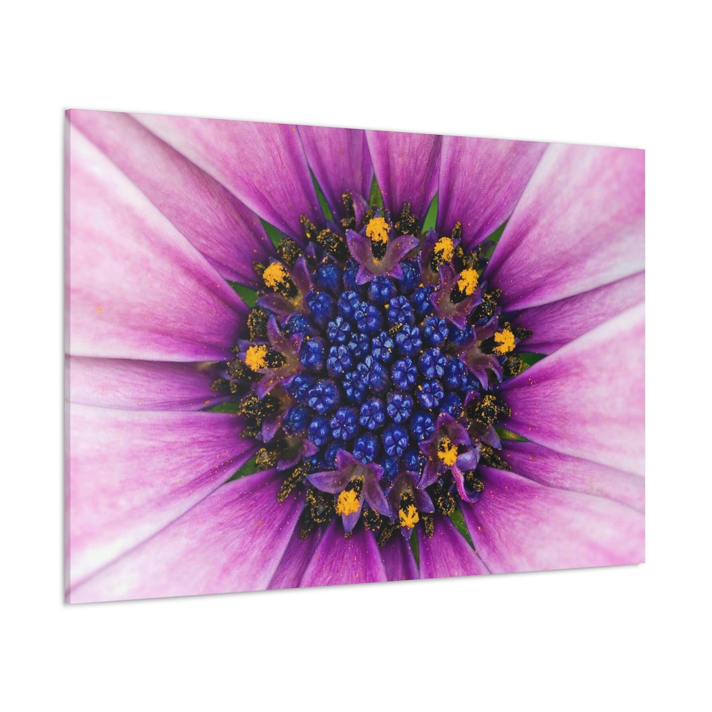 Flower Classic Canvas