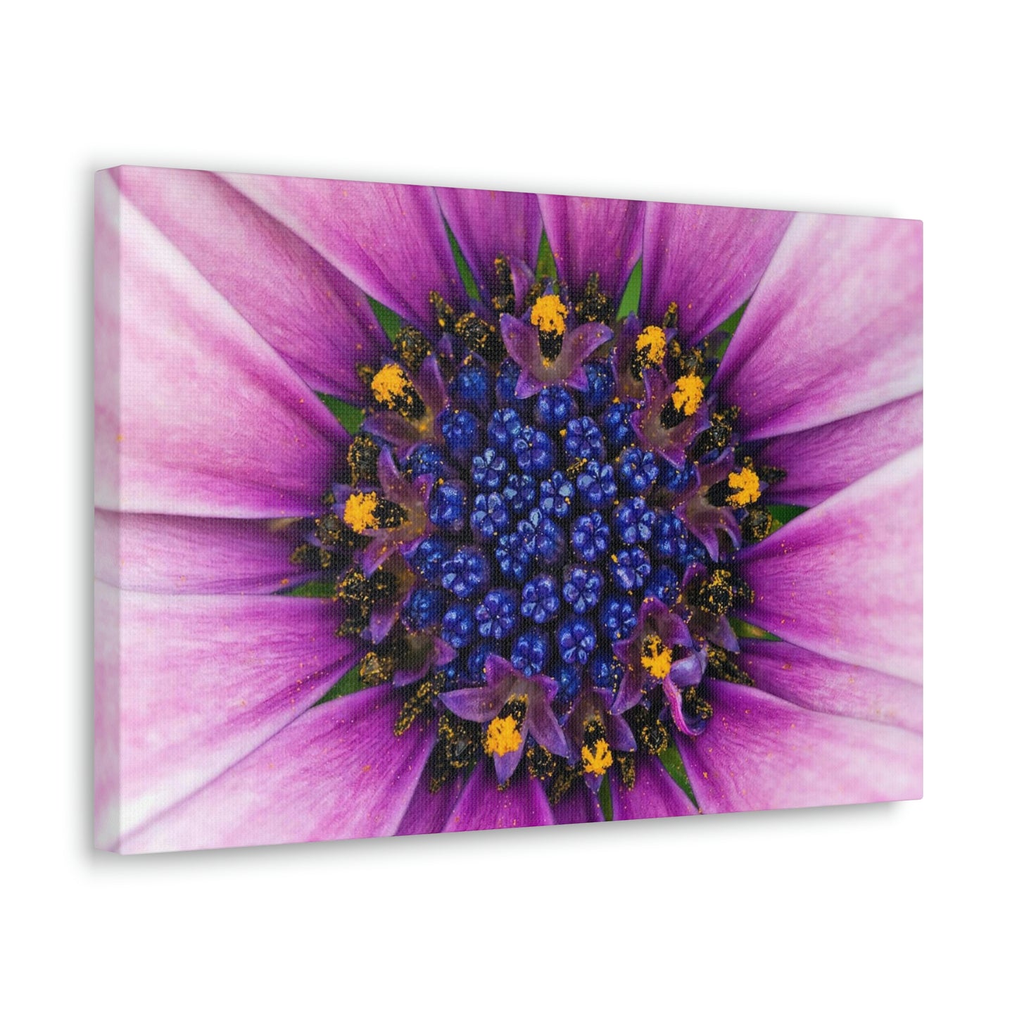 Flower Classic Canvas