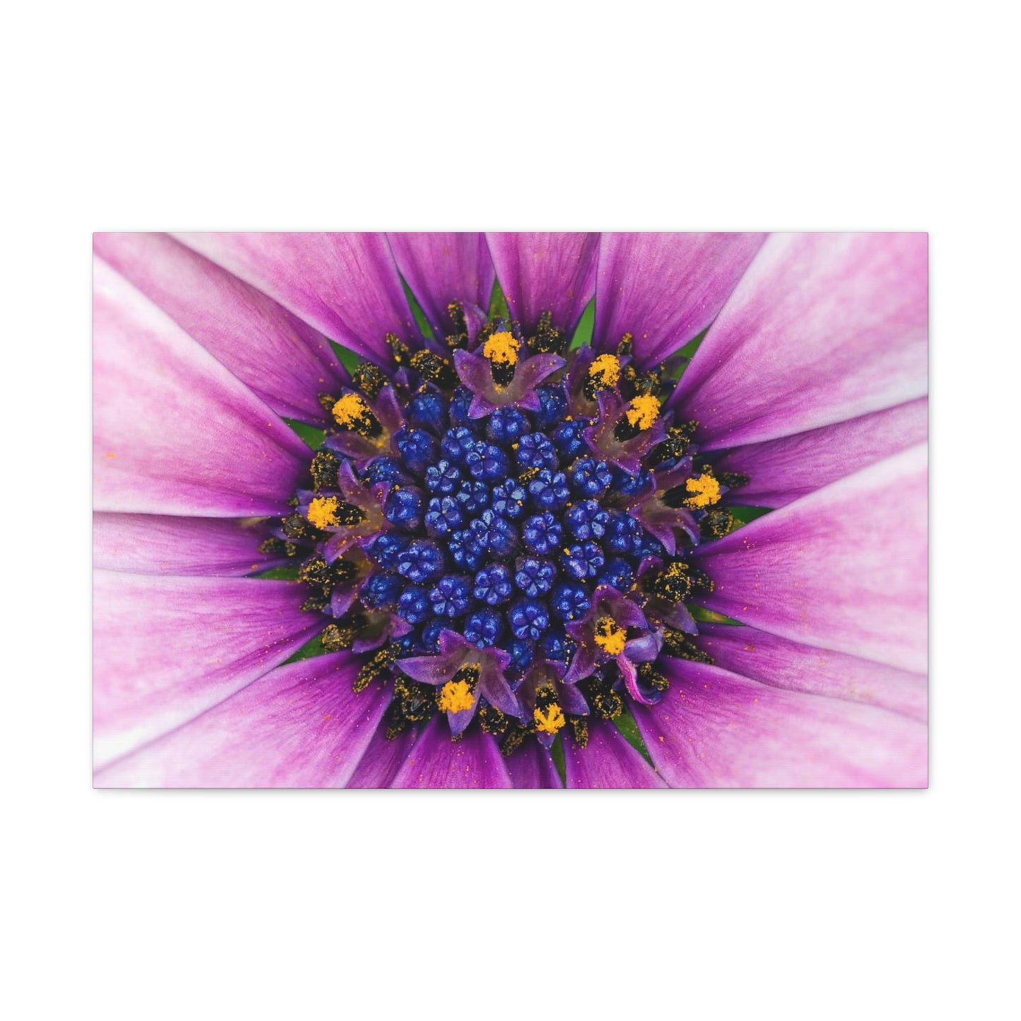 Flower Classic Canvas