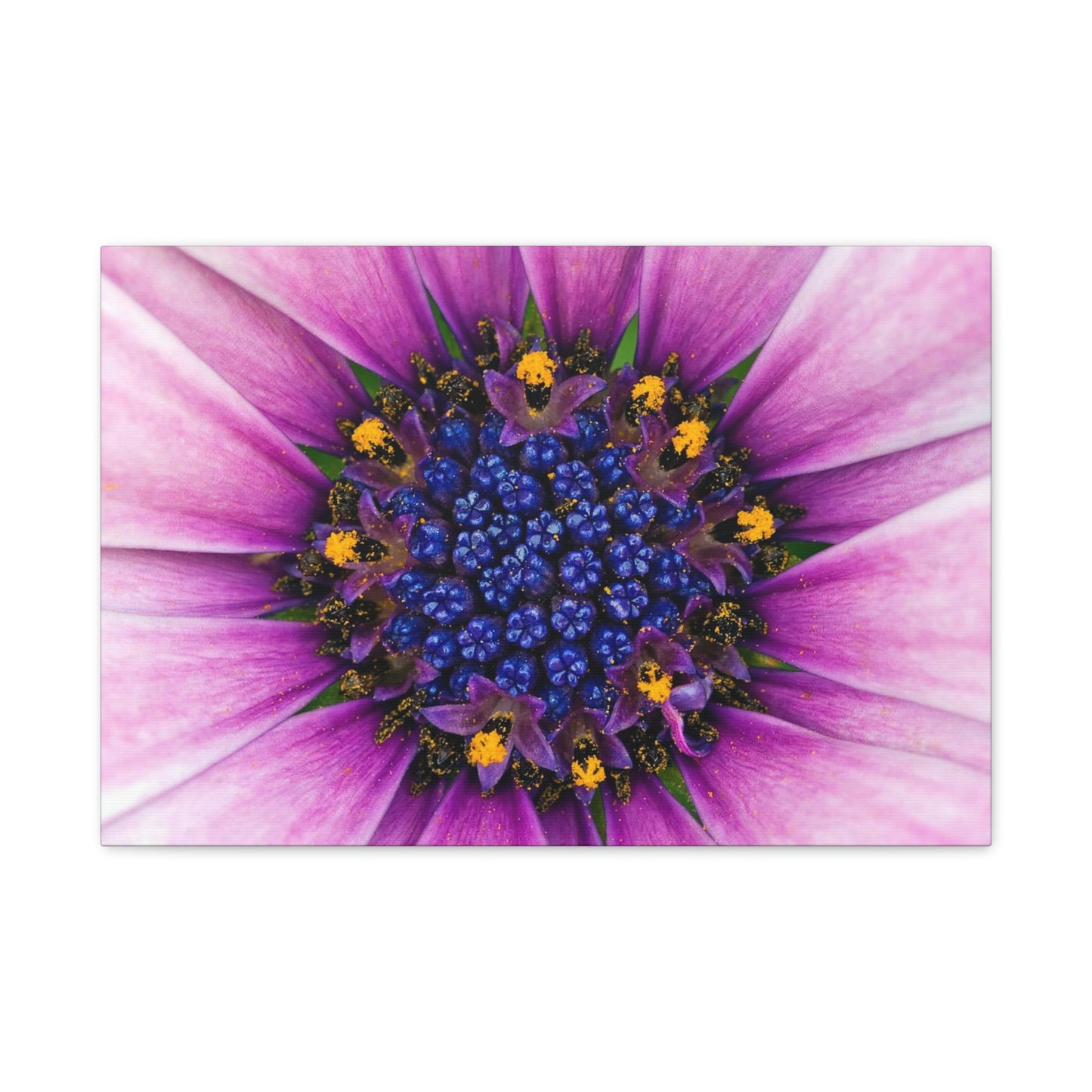 Flower Classic Canvas