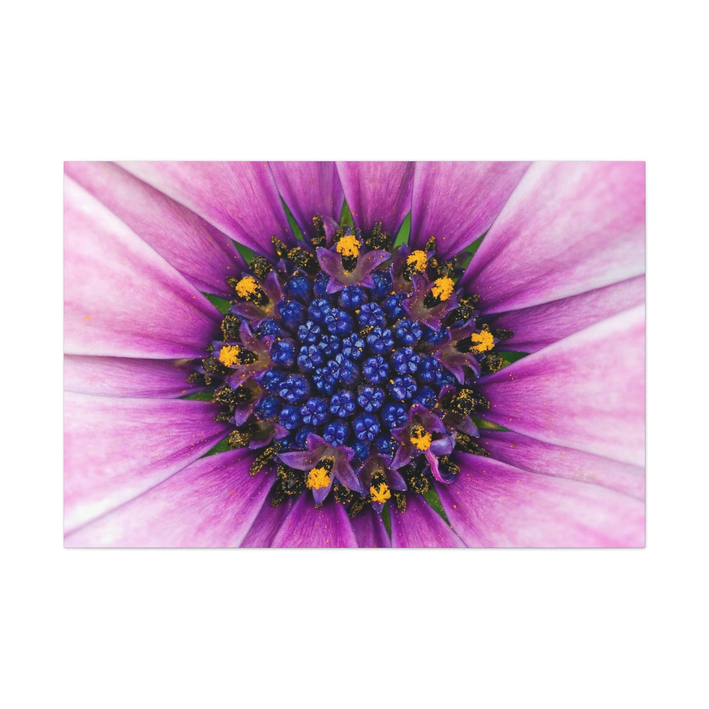 Flower Classic Canvas